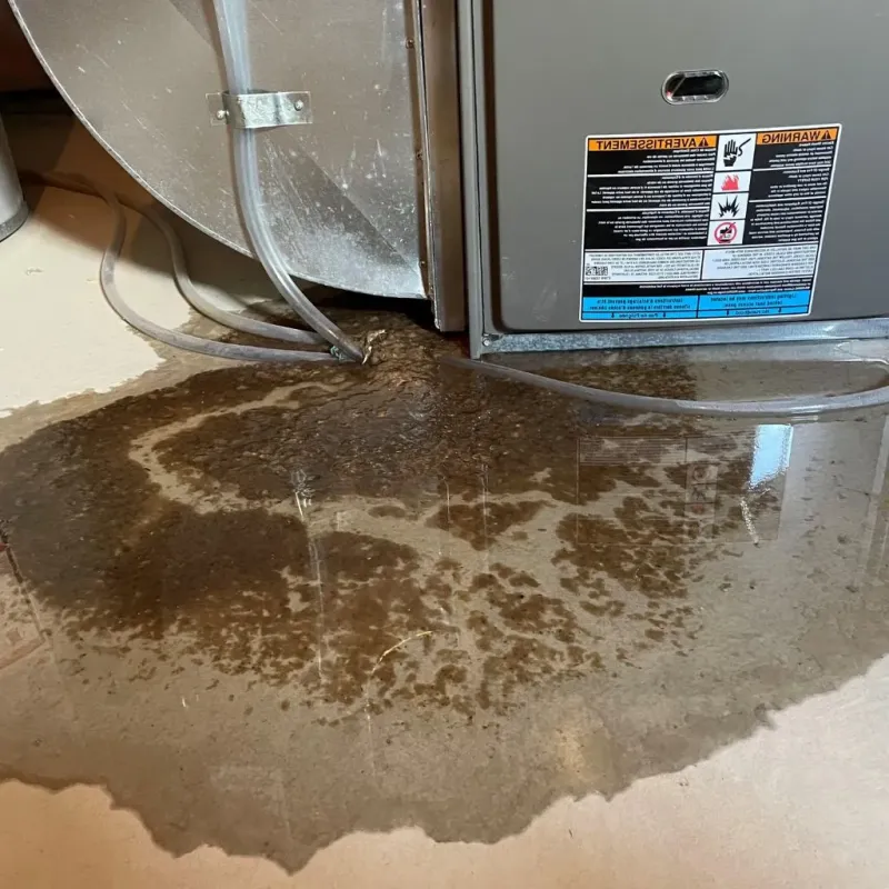Pipe Burst and Leak Restoration in North Smithfield, RI